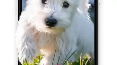 TikTok Lite screenshot 15