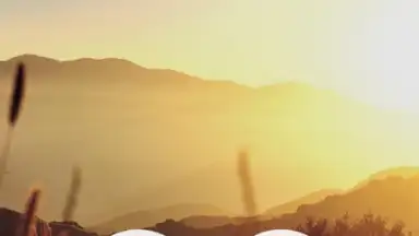 Meditation Music Metapps screenshot 2