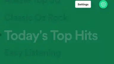 Spotify Stations screenshot 14