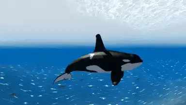 Orca Simulator screenshot 1