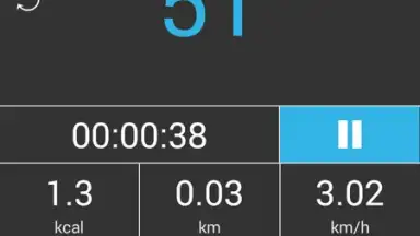 Accupedo Pedometer screenshot 4