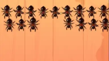 Ant Smash Game screenshot 5