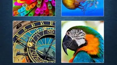 Jigty Jigsaw Puzzles screenshot 4