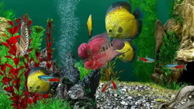 AquaLife 3D screenshot 1