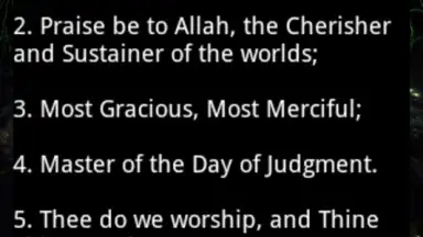 Holy Quran video and MP3 screenshot 1