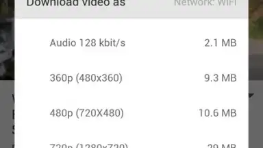 AyaTube Video Downloader screenshot 4