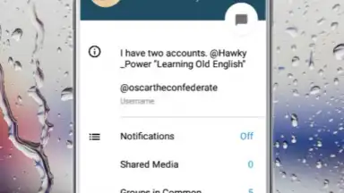 Via Messenger - Unofficial Telegram App screenshot 12