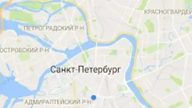 Госуслуги СПб screenshot 1