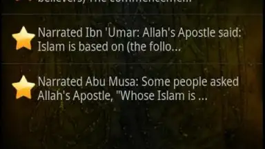 Sahih Al Bukhari screenshot 7