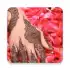 Mehndi Designs apk