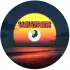 VIP Weather APK