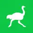 Delivery Club APK