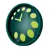 Cuadrante apk