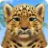 Дикие животные apk