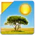 Cute Weather Widget APK