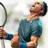 Ultimate Tennis apk